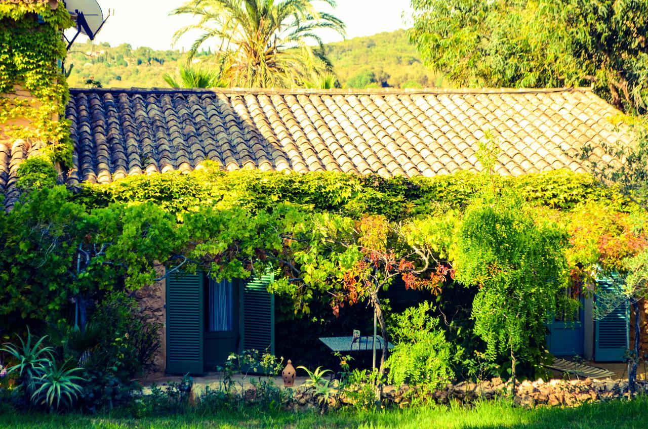 Hotell Son Vent Cas Concos